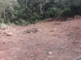 Land for Sale in Avissawella Town