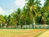 Katana Araliya Land for Sale (LOT-41)