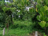 Land for Sale In Katana