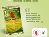 ප්‍රාණ ශක්ති පෝෂණ ගුණැති කැඳ