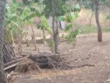Land for urgent sell