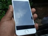 Apple iPhone 6  (Used)