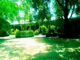 commercial/residential property for sale
