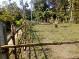 Land sale in panadura area