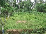 Land For Sale in Bandragama