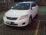 Toyota Corolla 2008 (Used)