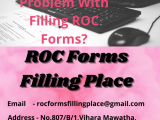 Registrar Of Companies Forms Filling