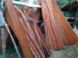 මහෝගනී ලී Mahogany Timber for sale
