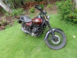 Bajaj Avenger 2017 (Used)