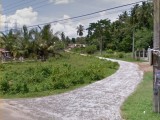 Land for immediate sale