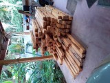 Jack wood 3 x 4