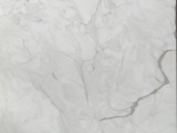 Shiny poselain tile