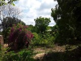 ඉඩමක් විකිණීමට