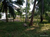 Beach side land