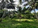 Land for Sale in Kuliyapitiya