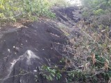 හොරණ අක්කර 5ක් අඩුම මිලට