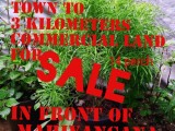 Commercial land for sale