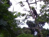 වියාපාරයකට සුදුසු වටිනා ඉඩම