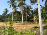 Land for Sale in Molligoda