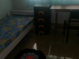 Single room for ladie - Nugegoda , Embuldaniya