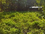 Valuable Land for sale in Alawwa