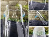 spec face shield