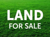 Land for Sale in Anuradhapura - අනුරාධපුරයෙන් අගනා බිම් කොටසක්