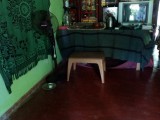Home & Land for sale