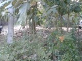 Land sale