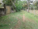 Land For Sale In Horana