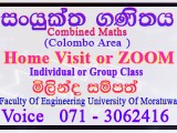 Combined Maths (Online or Home visit )
