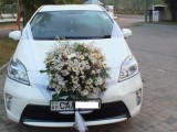 Wedding Car  - Toyota  Prius