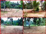96 Perch Lands Badulla - බදුල්ල හාලිඇල පර්චස් 96ක්
