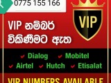Vip Numbers available
