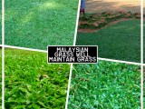 MANEL Garden Grass Interlock Landscaping