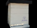 Bee box 8 Frame Beekeeping Equipment Wooden Bee box