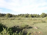 Precious land for sale in Ambalantota
