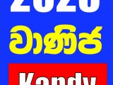 උසස් පෙළ Commerce