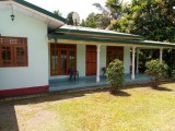 Single store fully tiled house for rent