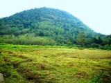 42 p land for sale