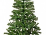 Christmas trees in any sizes