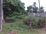 A Land from THE FINANCE