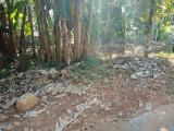 Land for sale-pilimatalawa