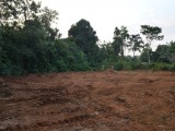 Land for Sale in Ingiriya - Nambapana