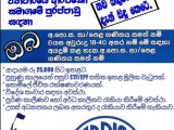 ARPICO PLC Job vacancies