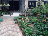 Full Completed House for Sale in Ragama