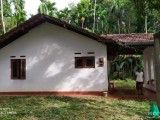 House with 50 perches land for sale