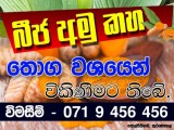 බීජ අමු කහ විකිණීමට