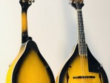 Maverick  Mandolin Acoustic 8 String Mandolin with bag