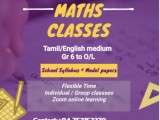 Maths classes for gr6 to O/L ( Tamil& English medium)